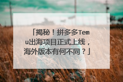 揭秘!拼多多Temu出海项目正式上线,海外版本有何不同?