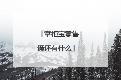 掌柜宝零售通还有什么