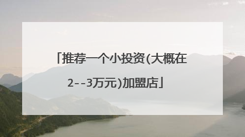 推荐一个小投资(大概在2--3万元)加盟店