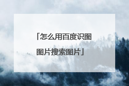 怎么用百度识图图片搜索图片