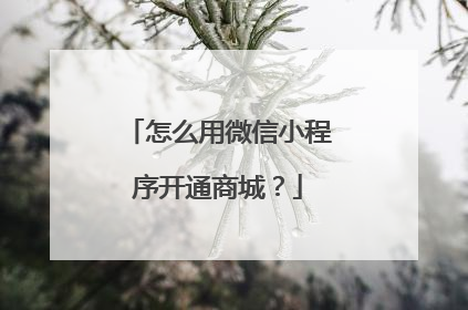 怎么用微信小程序开通商城？