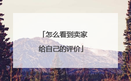怎么看到卖家给自己的评价