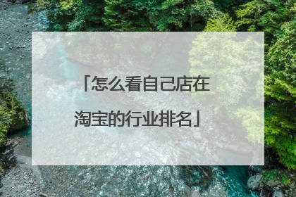怎么看自己店在淘宝的行业排名