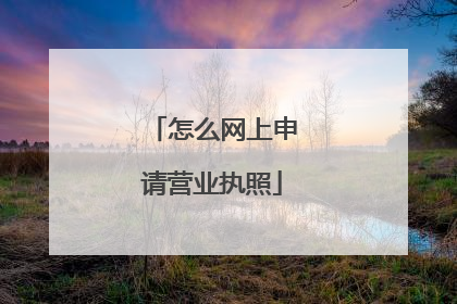 怎么网上申请营业执照