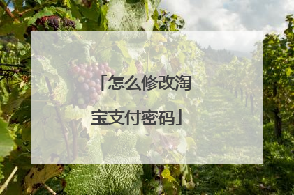 怎么修改淘宝支付密码