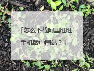 怎么下载阿里旺旺手机版中国站?
