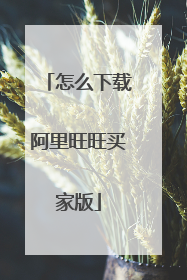 怎么下载阿里旺旺买家版