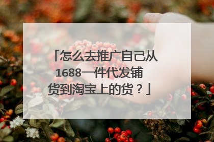怎么去推广自己从1688一件代发铺货到淘宝上的货？