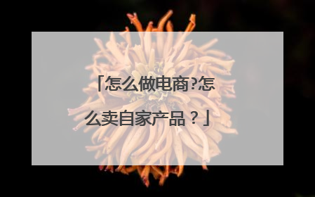 怎么做电商?怎么卖自家产品?