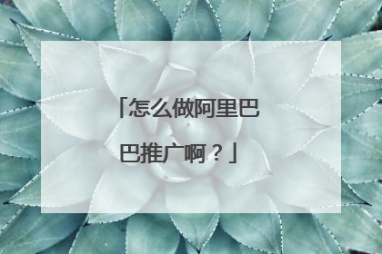 怎么做阿里巴巴推广啊?