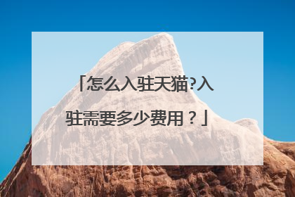 怎么入驻天猫?入驻需要多少费用?