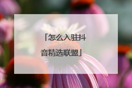 怎么入驻抖音精选联盟