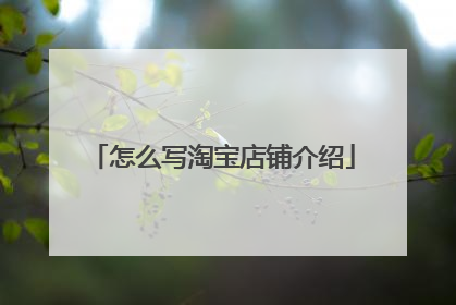 怎么写淘宝店铺介绍