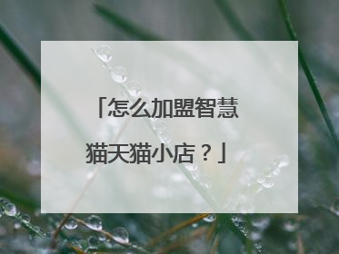 怎么加盟智慧猫天猫小店？