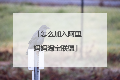 怎么加入阿里妈妈淘宝联盟