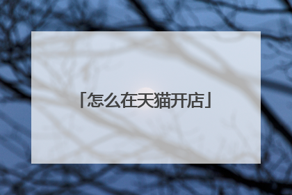 怎么在天猫开店