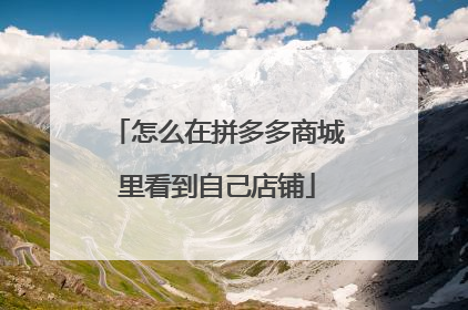 怎么在拼多多商城里看到自己店铺