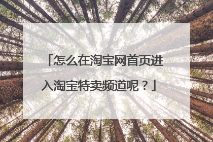 怎么在淘宝网首页进入淘宝特卖频道呢？