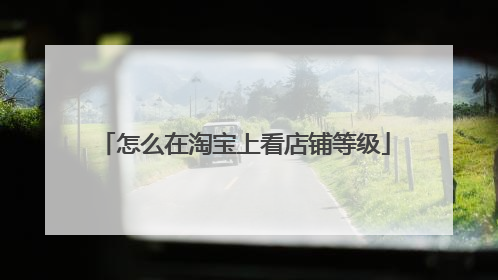 怎么在淘宝上看店铺等级