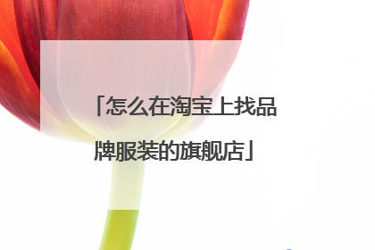 怎么在淘宝上找品牌服装的旗舰店