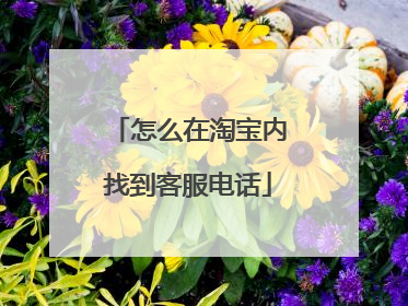 怎么在淘宝内找到客服电话