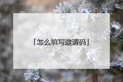 怎么填写邀请码