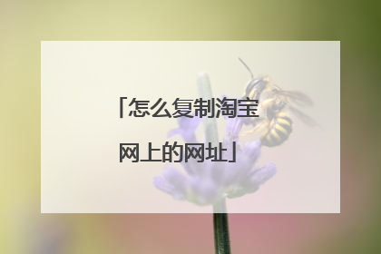 怎么复制淘宝网上的网址
