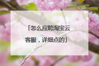 怎么应聘淘宝云客服,详细点的