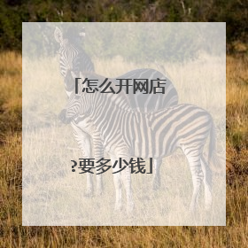 怎么开网店?要多少钱
