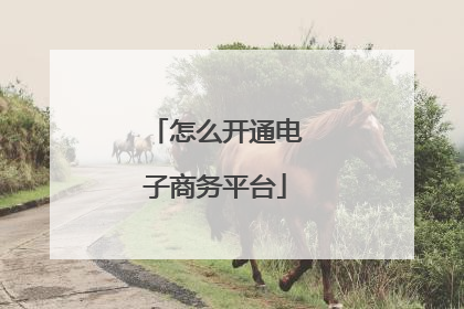 怎么开通电子商务平台