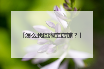 怎么找回淘宝店铺？