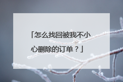 怎么找回被我不小心删除的订单?