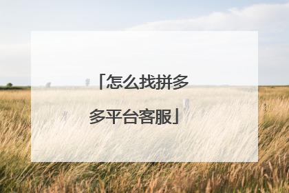 怎么找拼多多平台客服