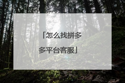怎么找拼多多平台客服