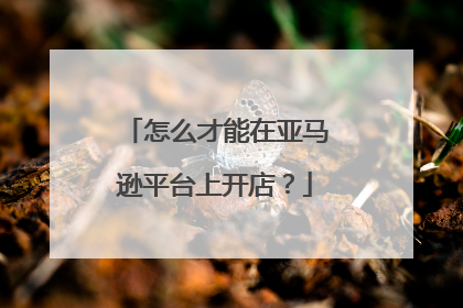 怎么才能在亚马逊平台上开店？