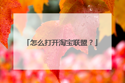 怎么打开淘宝联盟?