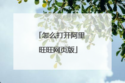 怎么打开阿里旺旺网页版