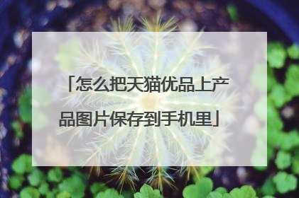 怎么把天猫优品上产品图片保存到手机里