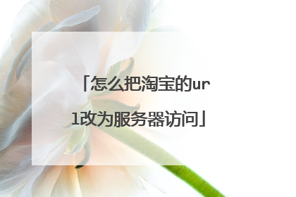 怎么把淘宝的url改为服务器访问