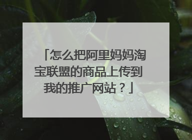 怎么把阿里妈妈淘宝联盟的商品上传到我的推广网站?