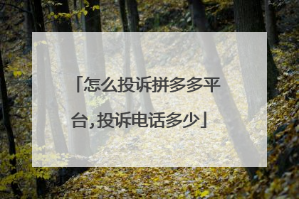 拼多多投诉电话人工电话24小时服(拼多多买菜投诉电话人工客服)