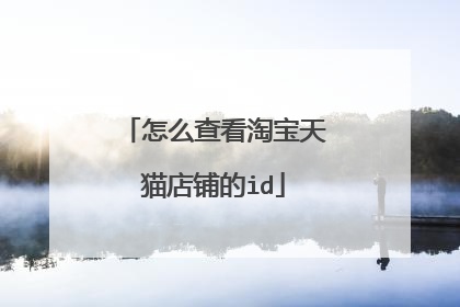 怎么查看淘宝天猫店铺的id