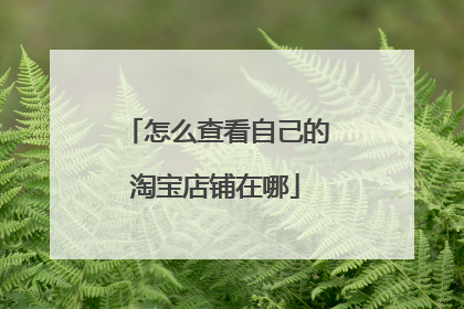 怎么查看自己的淘宝店铺在哪