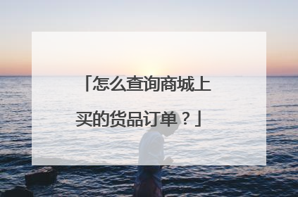 怎么查询商城上买的货品订单?