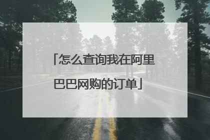 怎么查询我在阿里巴巴网购的订单