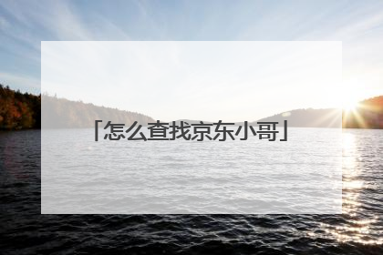 怎么查找京东小哥