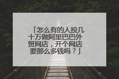 怎么有的人投几十万做阿里巴巴外贸网店,开个网店要那么多钱吗?