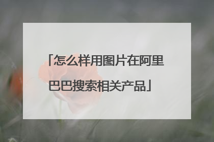 怎么样用图片在阿里巴巴搜索相关产品