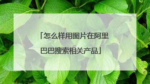 怎么样用图片在阿里巴巴搜索相关产品