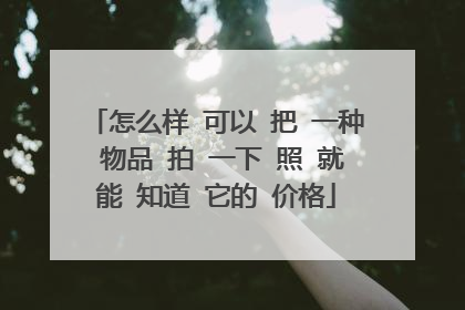 怎么样 可以 把 一种 物品 拍 一下 照 就能 知道 它的 价格